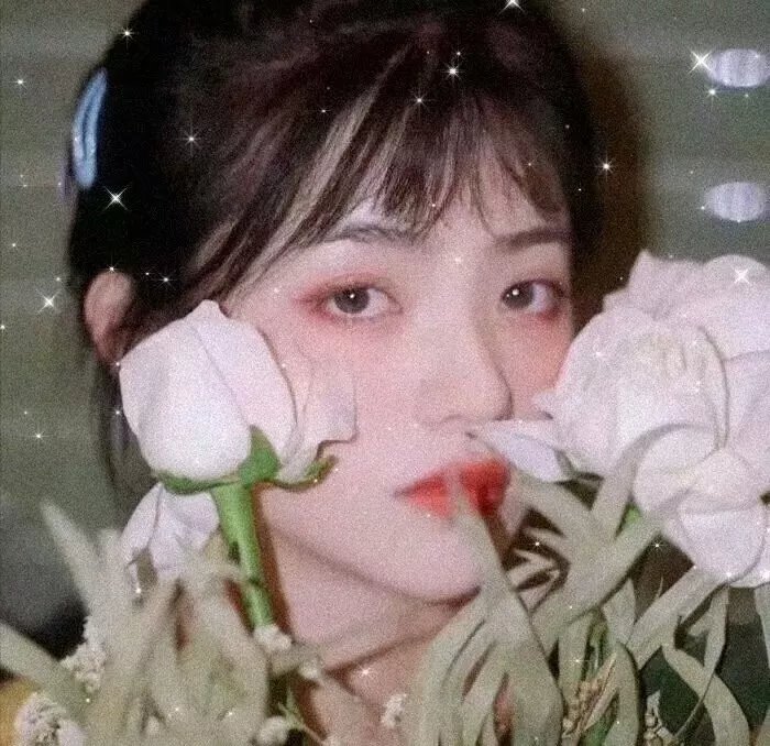 狗心1988